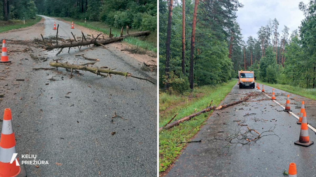 Kelininkai tęsia darbus siaučiant audrai – šalinami šimtai kritusių medžių